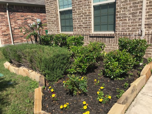 620 Calliopsis Street, Little Elm, TX 75068