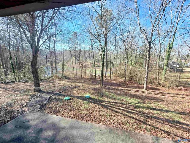 1975 Pine Lake Drive, Arab, AL 35016