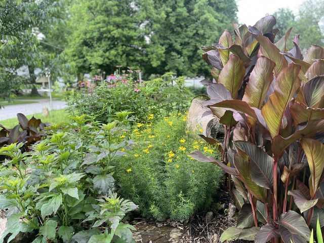 516 S Weller Avenue, Springfield, MO 65802