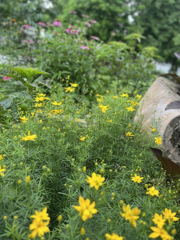 516 S Weller Avenue, Springfield, MO 65802