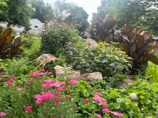 516 S Weller Avenue, Springfield, MO 65802