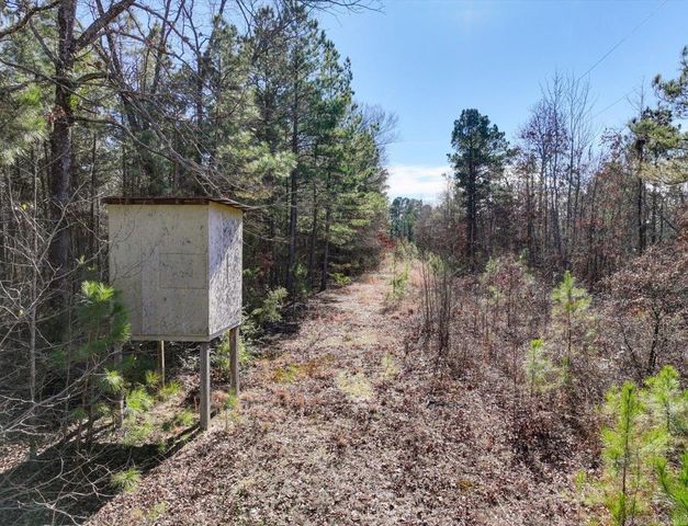 70 Pigeon Roost Lane, Glenwood, AR 71943