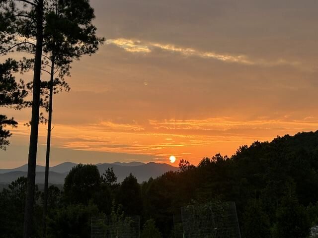 921 Ridge Pointe Way, Blairsville, GA 30512