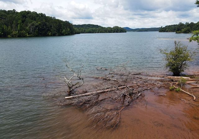 253 Windy Lane, Hiawassee, GA 30546