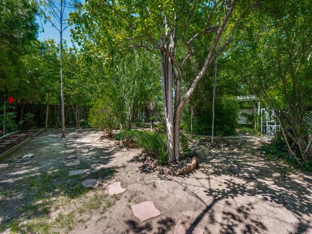 5304 Umbrella Pine Court, Arlington, TX 76018