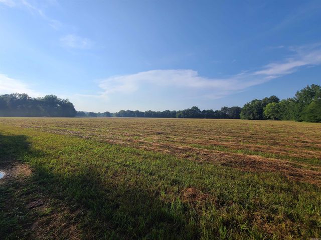 1269 Blackland Road, Oil Trough, AR 72564
