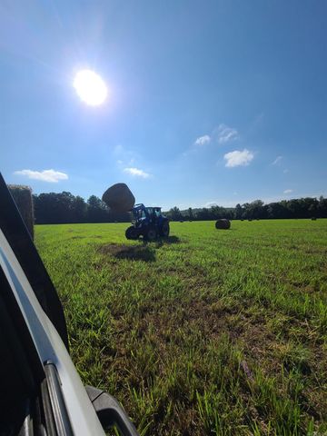 1269 Blackland Road, Oil Trough, AR 72564