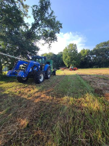 1269 Blackland Road, Oil Trough, AR 72564