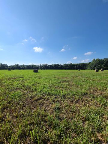 1269 Blackland Road, Oil Trough, AR 72564