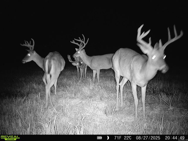 1269 Blackland Road, Oil Trough, AR 72564