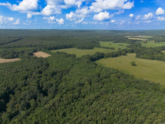 1269 Blackland Road, Oil Trough, AR 72564