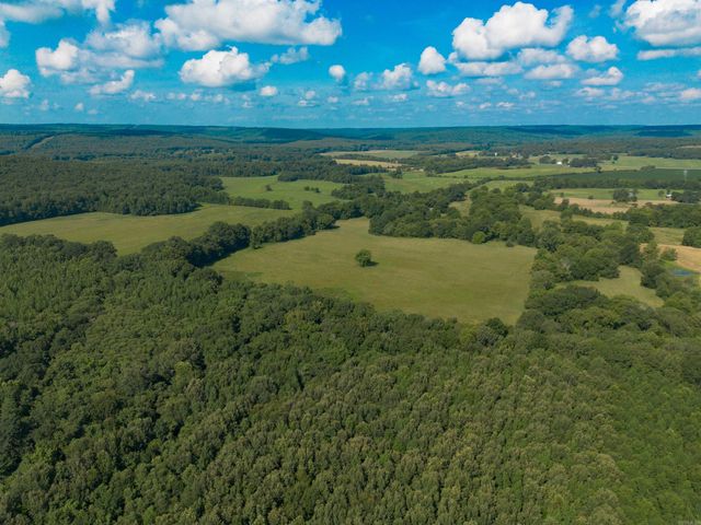 1269 Blackland Road, Oil Trough, AR 72564