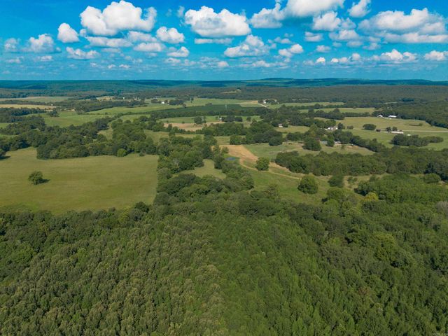 1269 Blackland Road, Oil Trough, AR 72564
