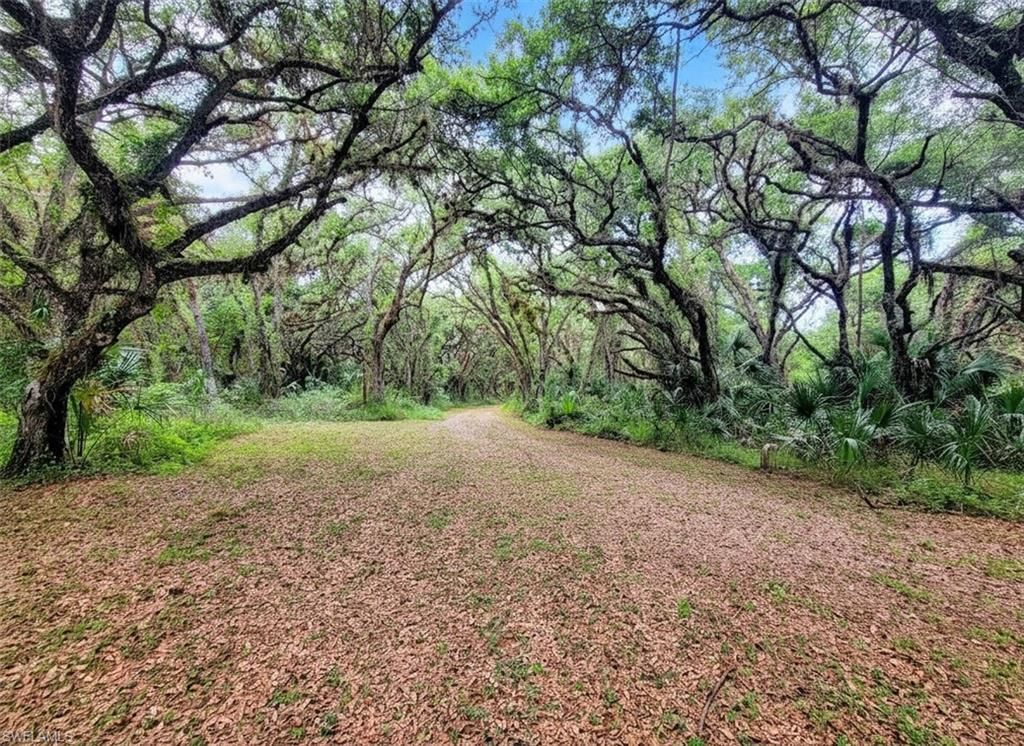 1040 Kirby Thompson RD, LABELLE, FL 33935 — photo 2