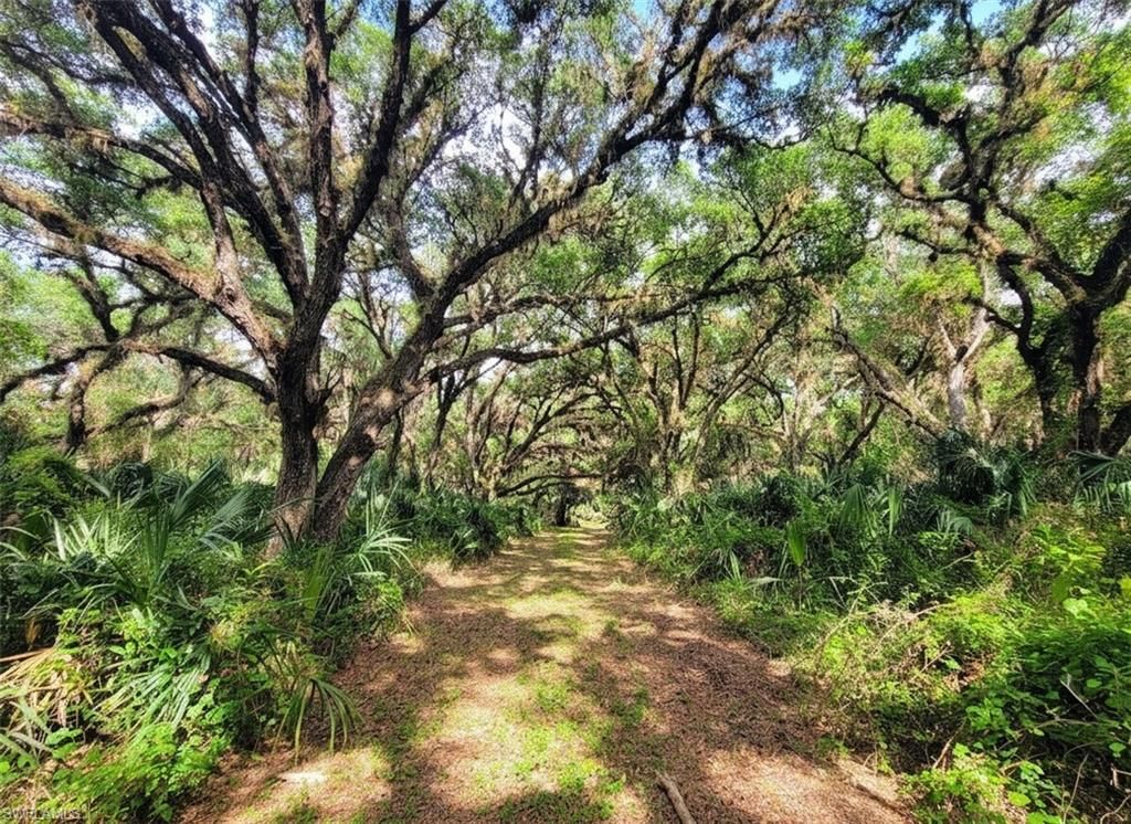 1040 Kirby Thompson RD, LABELLE, FL 33935 — photo 3