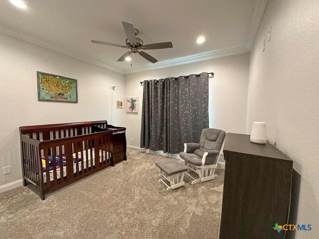 4321 & 4183 County Road 220, Gatesville, TX 76528