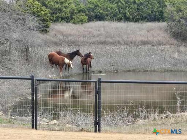 4321 & 4183 County Road 220, Gatesville, TX 76528
