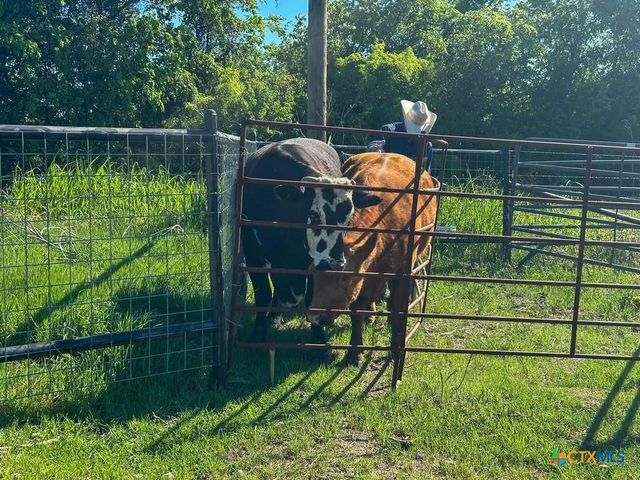 4321 & 4183 County Road 220, Gatesville, TX 76528