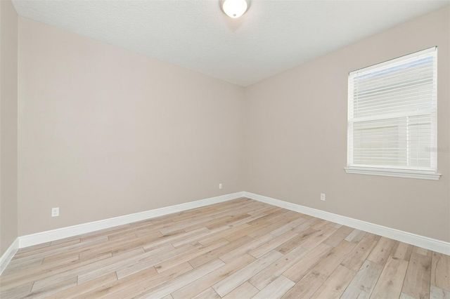 613 DOMINISH ESTATES DRIVE, Apopka, FL 32712