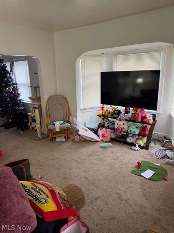 3535 E 81st Street, Cleveland, OH 44105