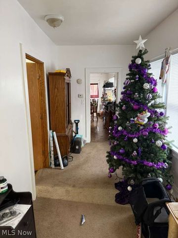 3535 E 81st Street, Cleveland, OH 44105