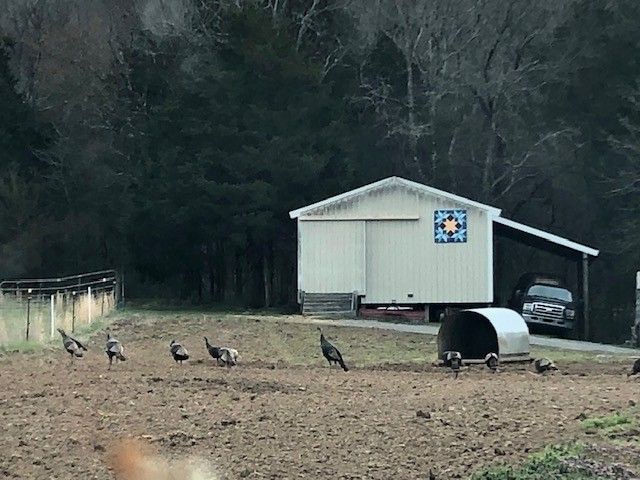 1705 Highway 141, N, Hartsville, TN 37074