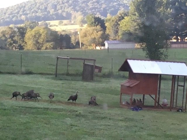 1705 Highway 141, N, Hartsville, TN 37074