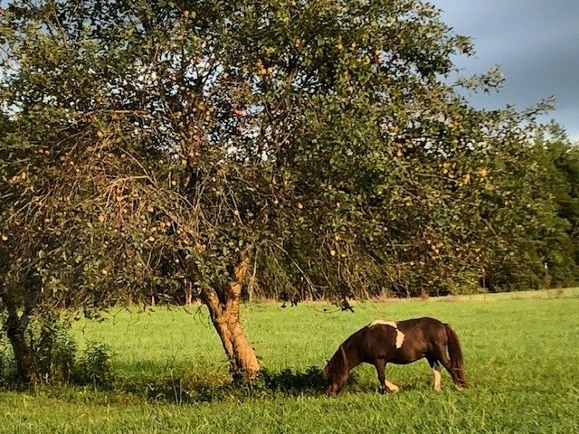 1705 Highway 141, N, Hartsville, TN 37074