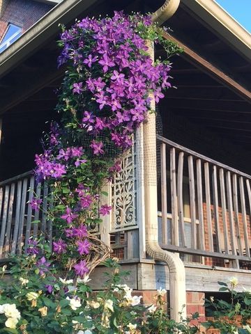 1705 Highway 141, N, Hartsville, TN 37074