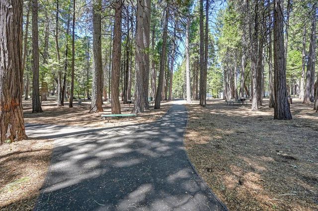3301 Hazel St, Pollock Pines, CA 95726