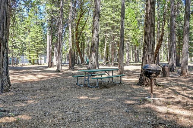 3301 Hazel St, Pollock Pines, CA 95726