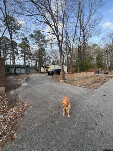 315 CR 3496, Hawkins, TX 75765