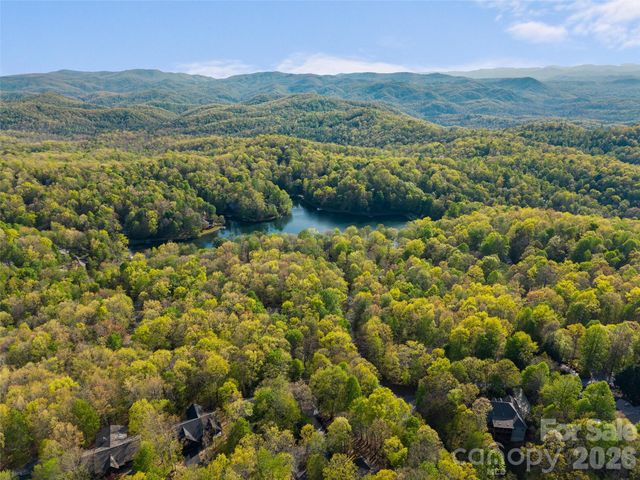 31 Udvawadulisi Court, Brevard, NC 28712