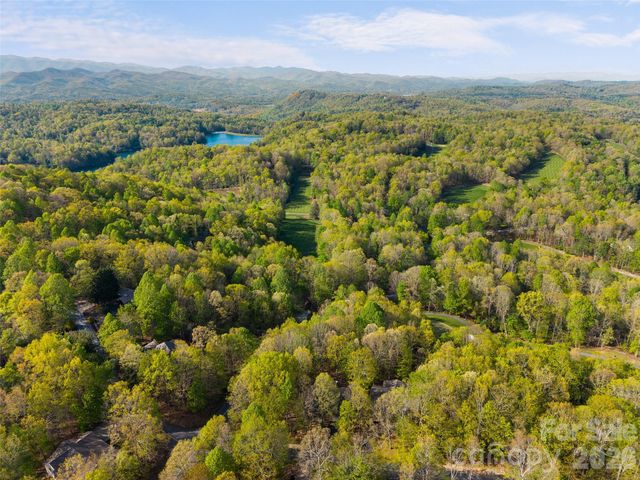 31 Udvawadulisi Court, Brevard, NC 28712
