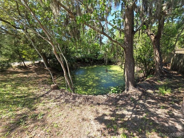 6595 W Curlew Place, Crystal River, FL 34429