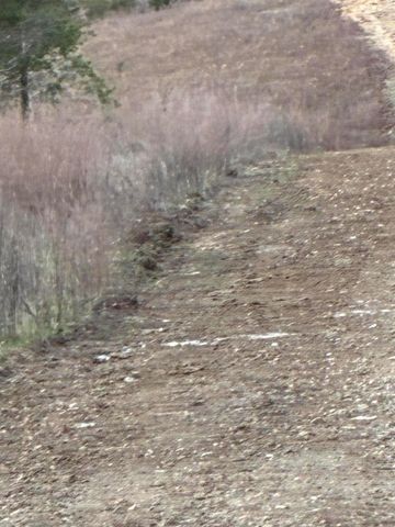 4118 County Road 905, Theodosia, MO 65761