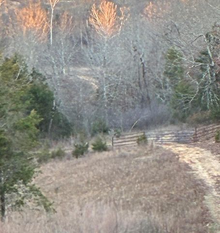 4118 County Road 905, Theodosia, MO 65761