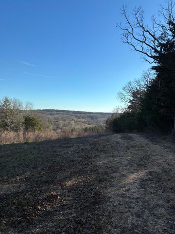 4118 County Road 905, Theodosia, MO 65761