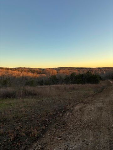 4118 County Road 905, Theodosia, MO 65761