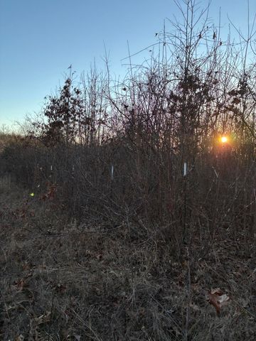 4118 County Road 905, Theodosia, MO 65761