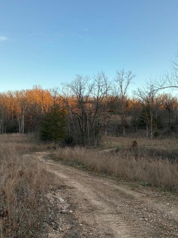 4118 County Road 905, Theodosia, MO 65761