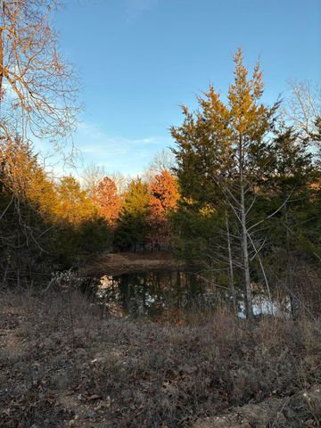 4118 County Road 905, Theodosia, MO 65761