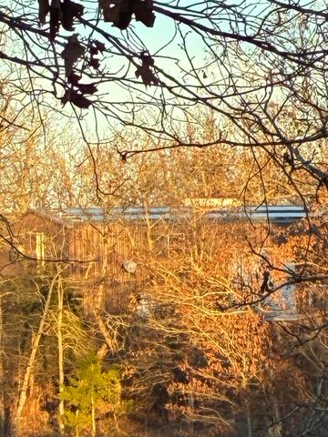 4118 County Road 905, Theodosia, MO 65761