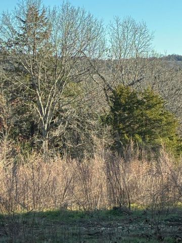 4118 County Road 905, Theodosia, MO 65761