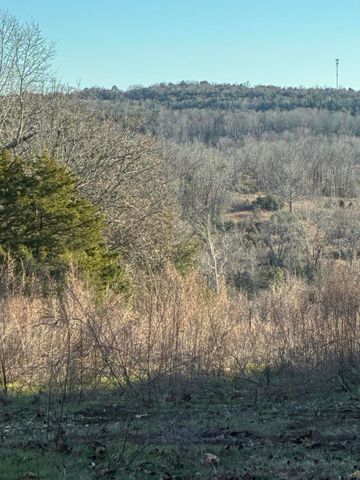 4118 County Road 905, Theodosia, MO 65761