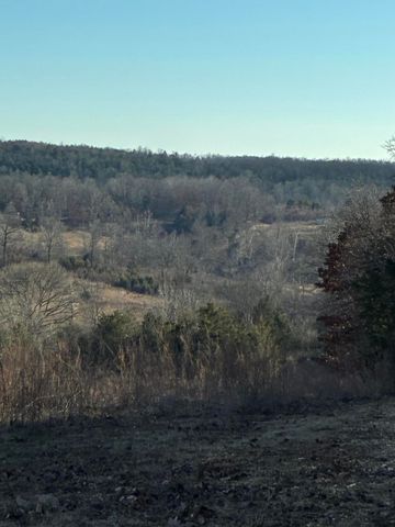 4118 County Road 905, Theodosia, MO 65761