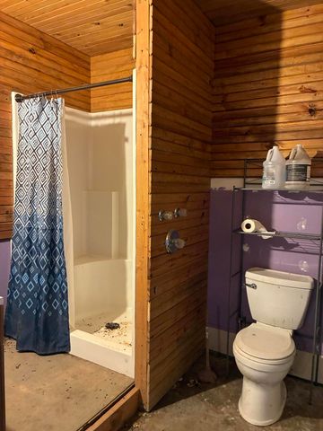 4118 County Road 905, Theodosia, MO 65761