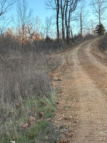 4118 County Road 905, Theodosia, MO 65761