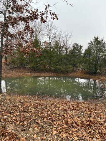 4118 County Road 905, Theodosia, MO 65761