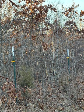 4118 County Road 905, Theodosia, MO 65761